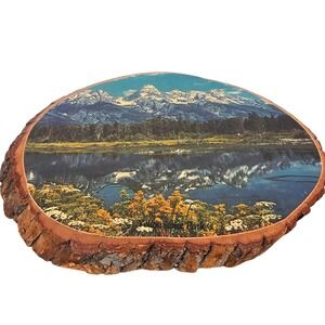 Vintage Yellowstone Park Wood Slab Wall Art Scenic Mountain USA K Special 60s
